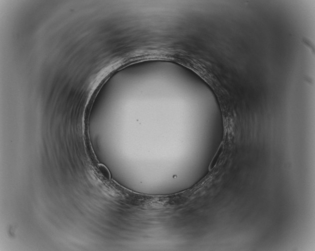 X0000100760148200807101736