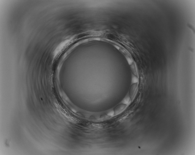 X0000100760149200807101736