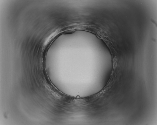 X0000100760150200807101736