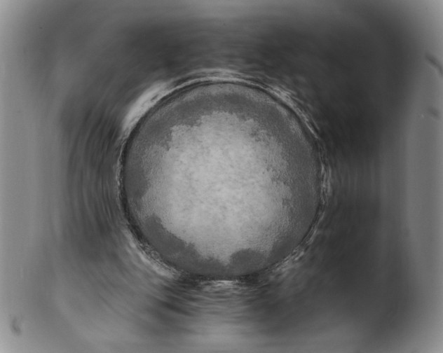 X0000100760151200807101736