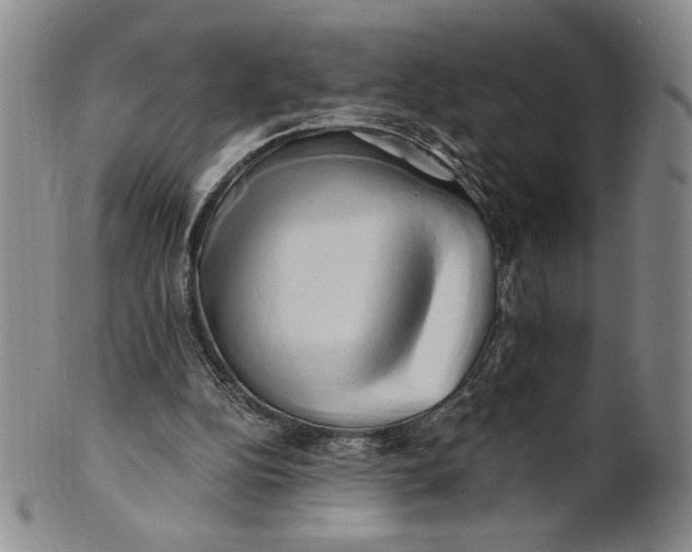 X0000100760152200807101736
