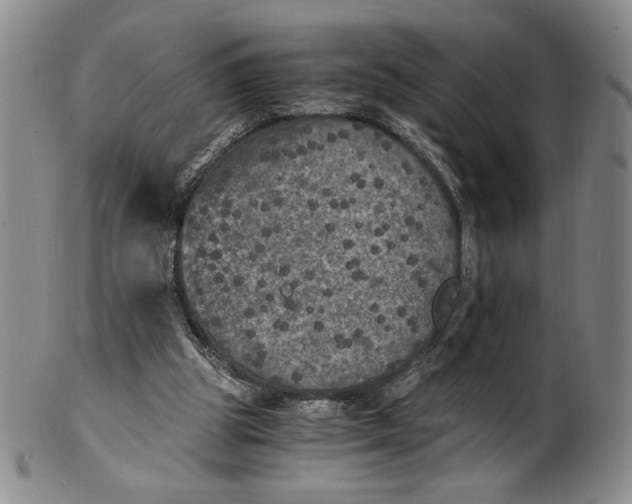 X0000100760153200807101736
