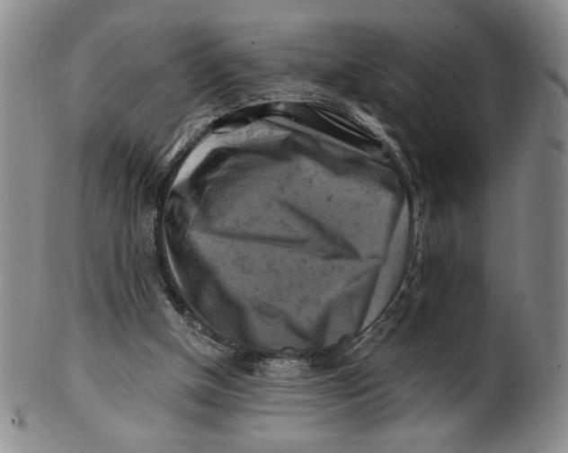 X0000100760154200807101736