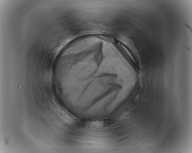 X0000100760156200807101736