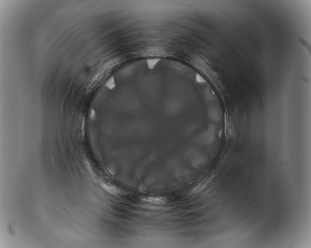 X0000100760157200807101736