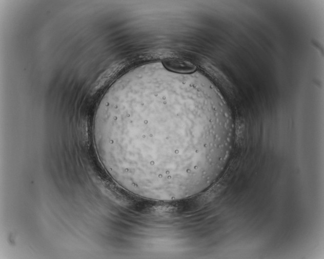 X0000100760158200807101736