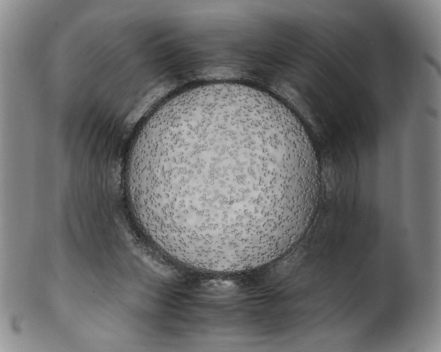 X0000100760159200807101736