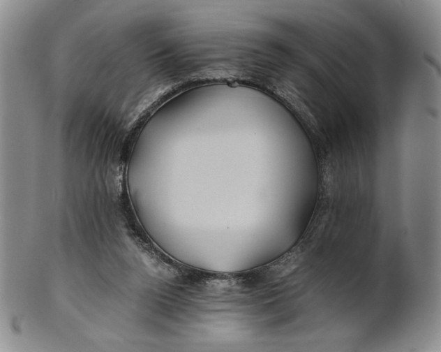 X0000100760160200807101736