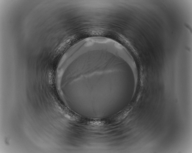 X0000100760161200807101736