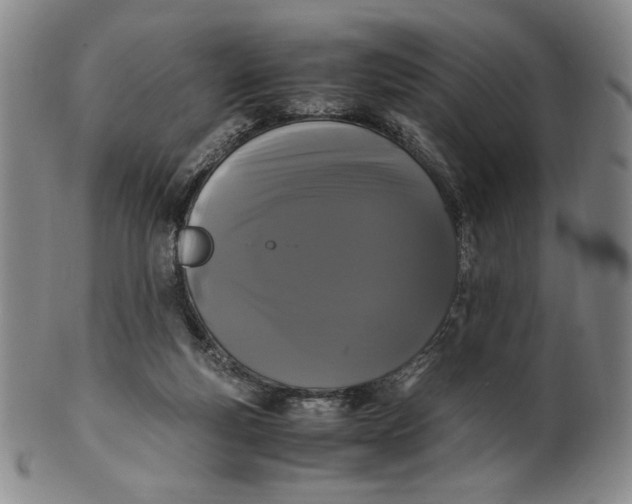 X0000100760163200807101736