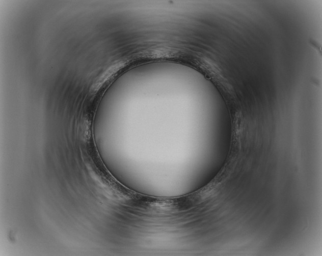 X0000100760164200807101736