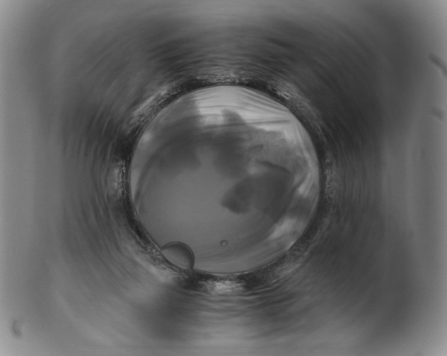 X0000100760165200807101736