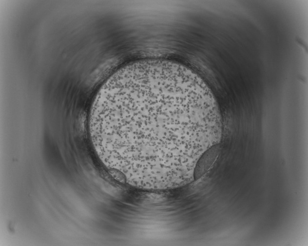 X0000100760166200807101736
