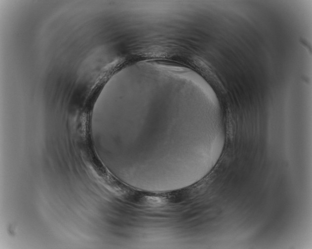 X0000100760167200807101736