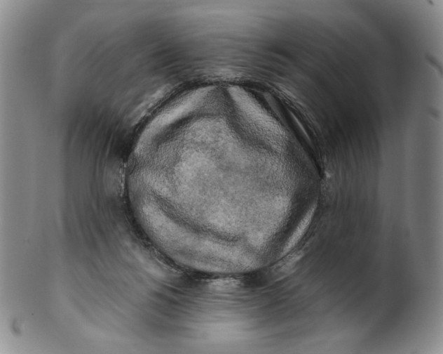 X0000100760168200807101736