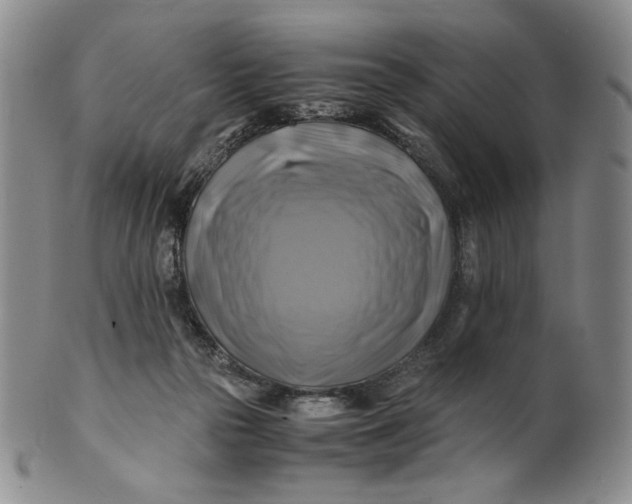 X0000100760169200807101736