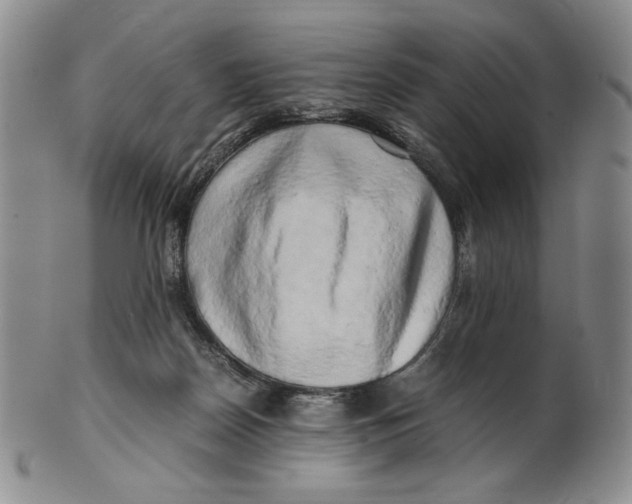 X0000100760170200807101736
