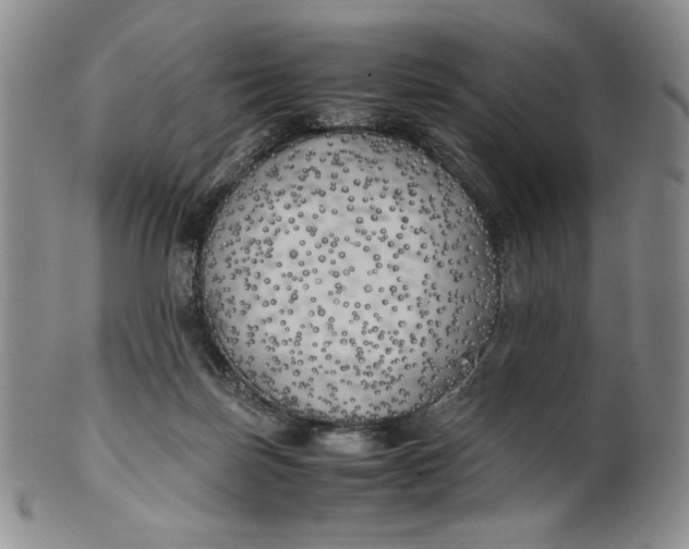 X0000100760171200807101736