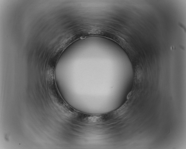 X0000100760172200807101736