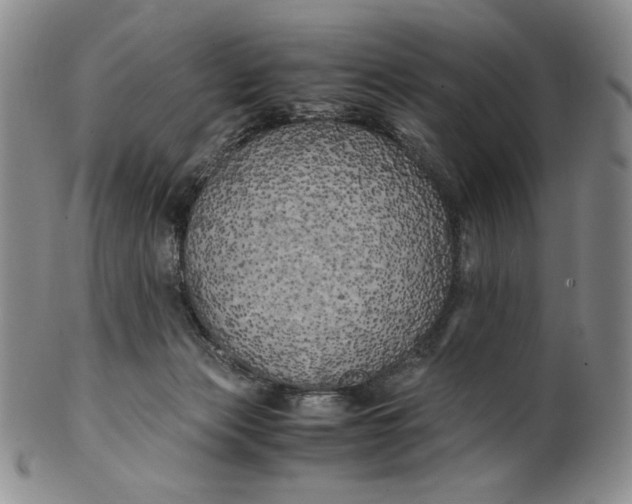 X0000100760173200807101736