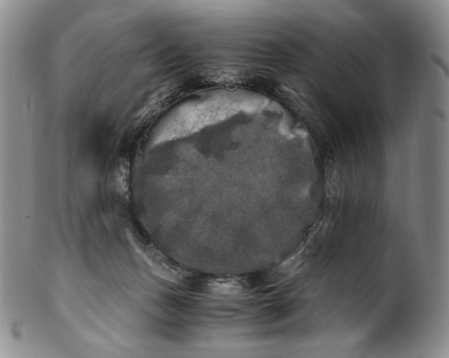 X0000100760175200807101736