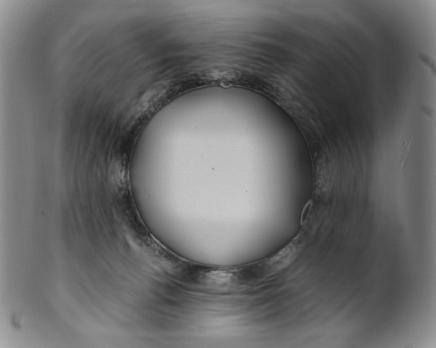 X0000100760176200807101736