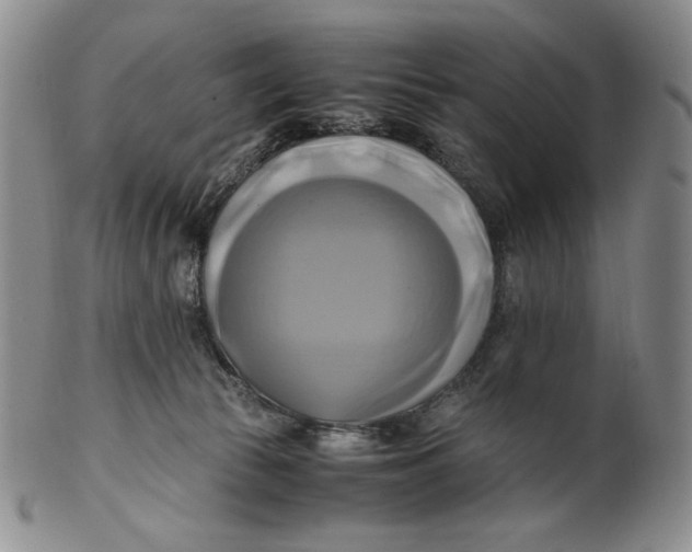 X0000100760177200807101736