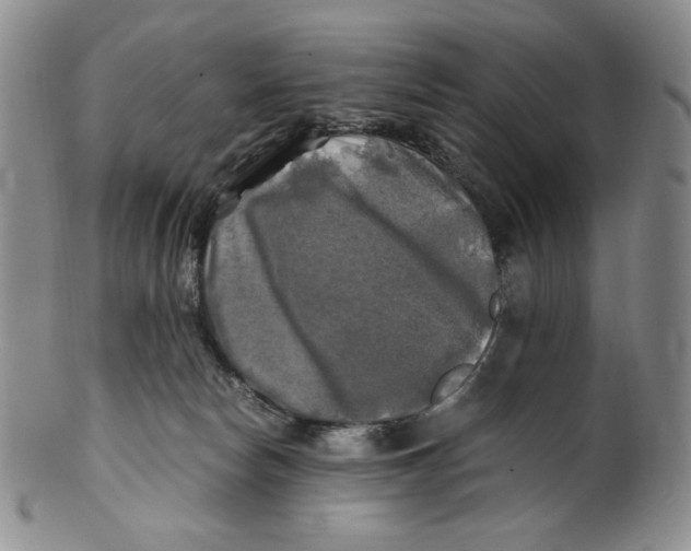 X0000100760178200807101736