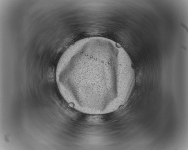 X0000100760179200807101736