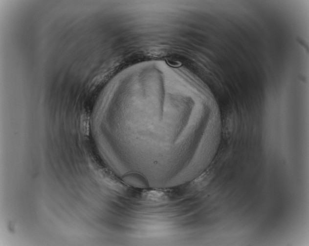 X0000100760180200807101736