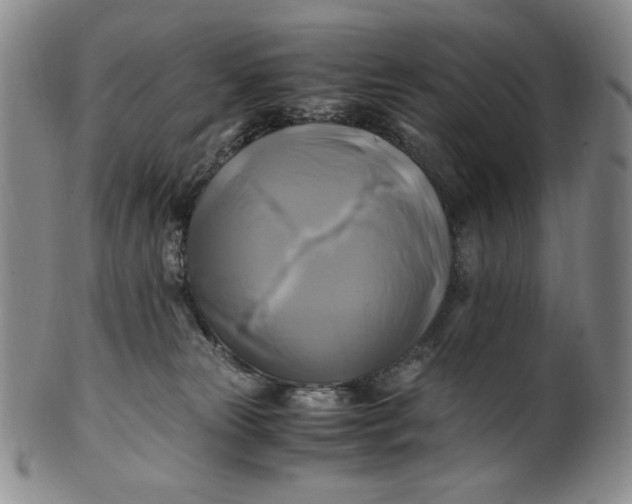 X0000100760181200807101736
