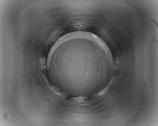 X0000100760182200807101736