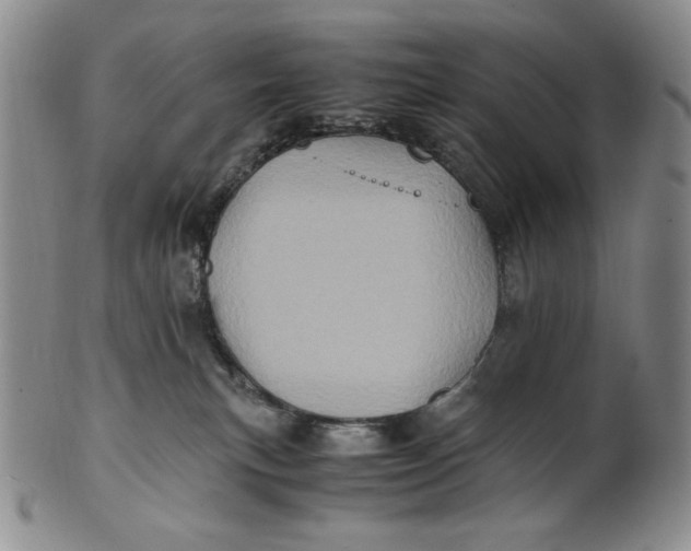 X0000100760183200807101736