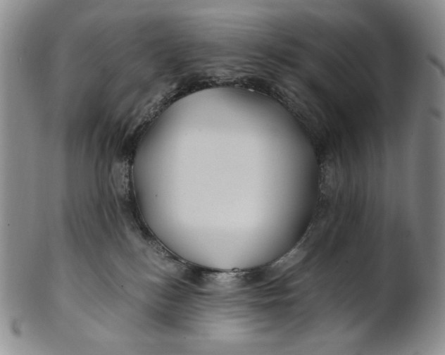 X0000100760184200807101736