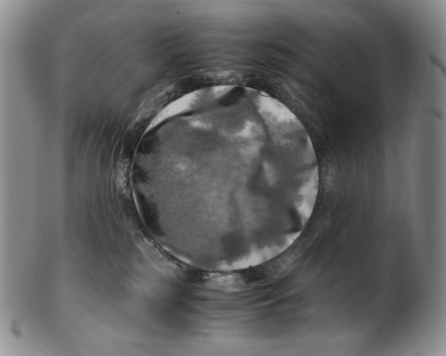 X0000100760185200807101736