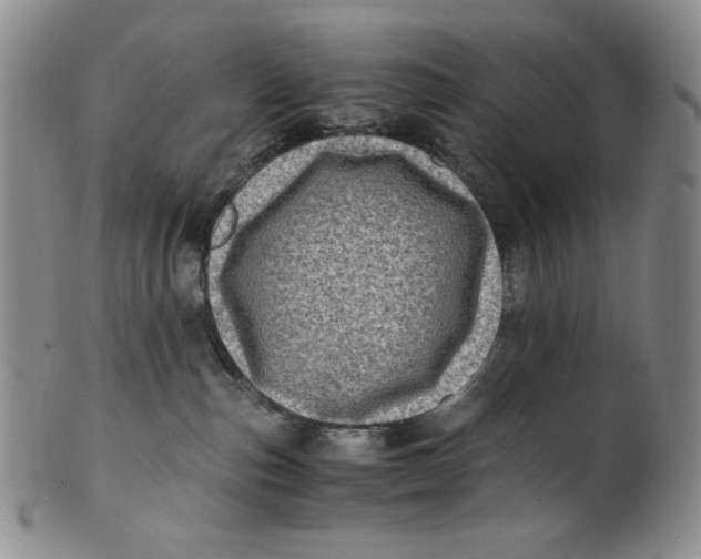 X0000100760187200807101736
