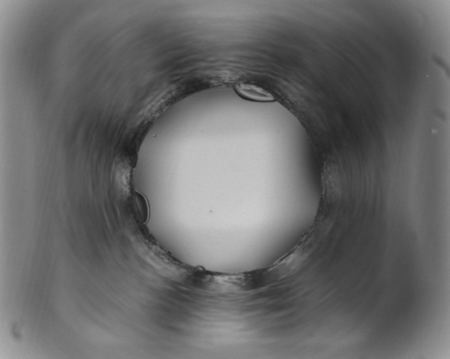 X0000100760188200807101736