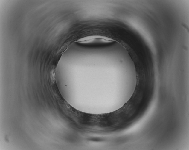 X0000100760190200807101736