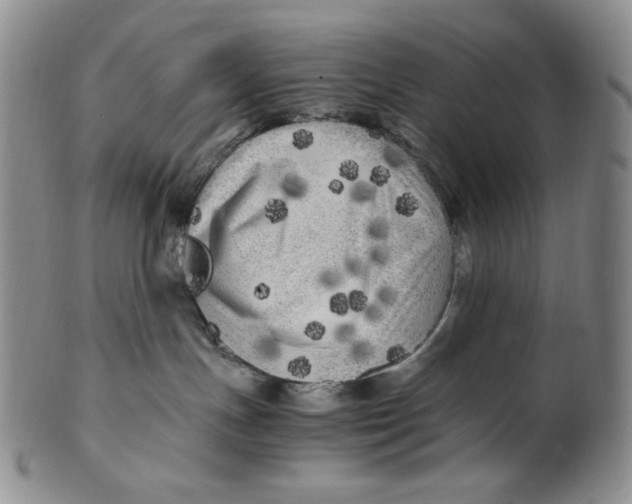 X0000100760191200807101736
