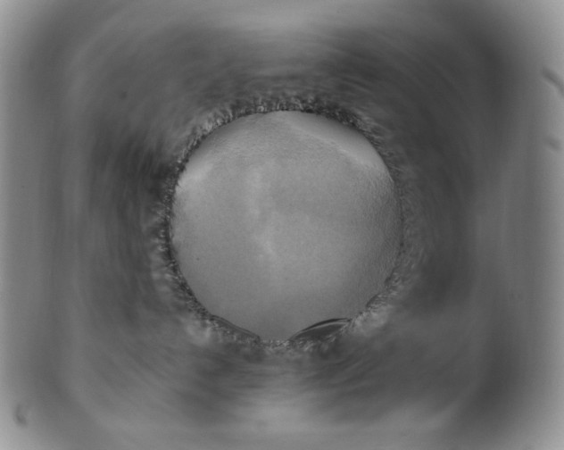 X0000100760192200807101736