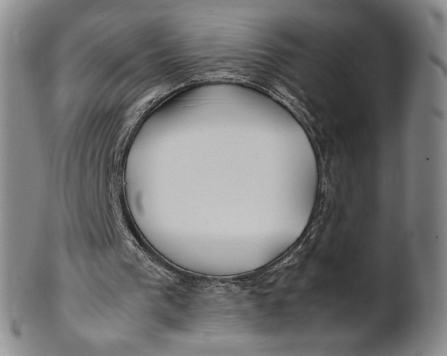 X0000100760193200807101736