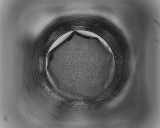 X0000100760194200807101736