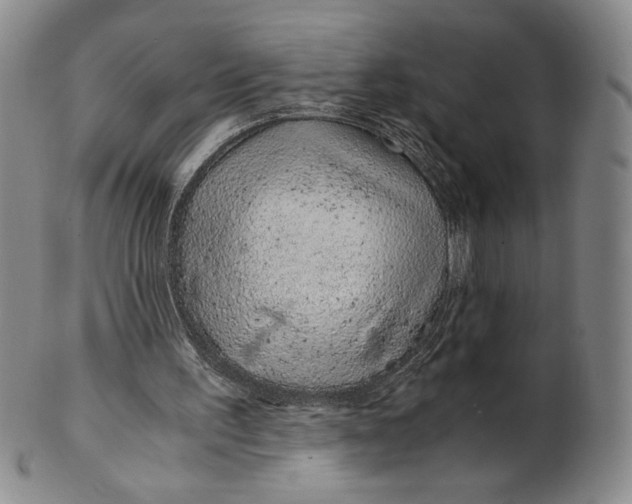 X0000100760195200807101736
