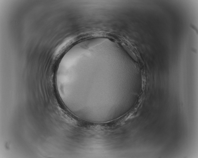 X0000100760197200807101736