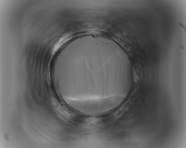 X0000100760198200807101736