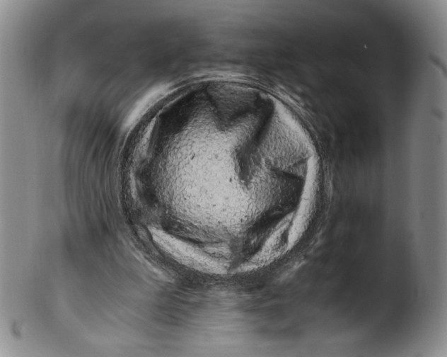 X0000100760199200807101736