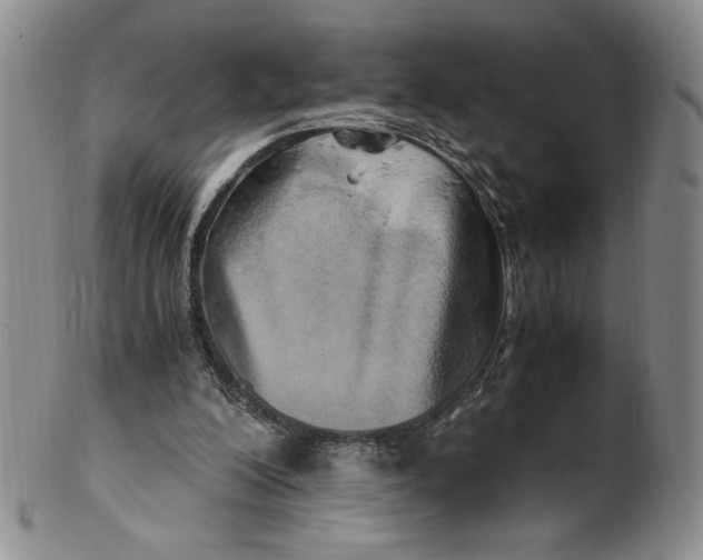 X0000100760200200807101736