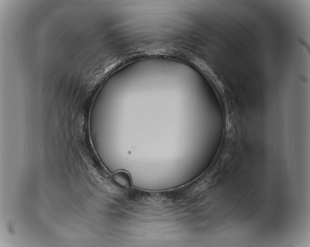 X0000100760201200807101736