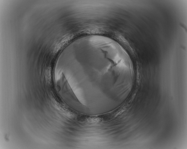 X0000100760202200807101736