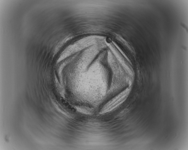 X0000100760203200807101736